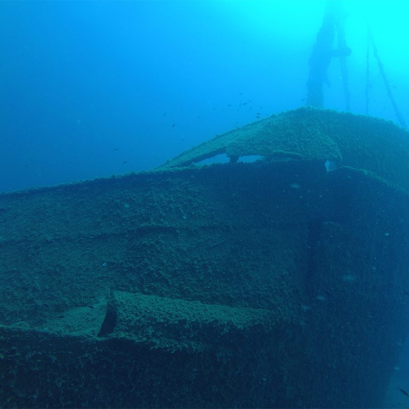 Vera Ship Wreck