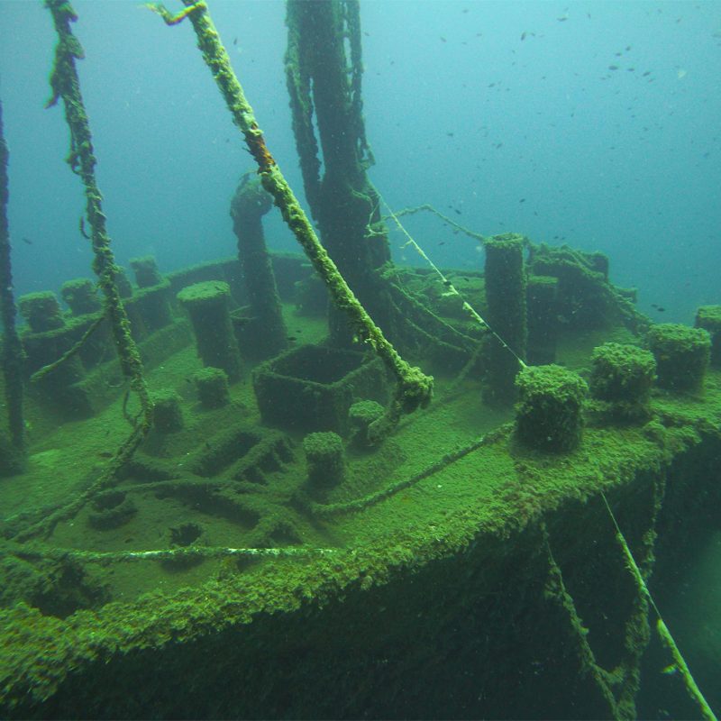 Vera Ship Wreck