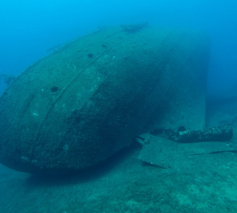 Vera Ship Wreck